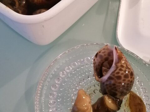 煮るだけ!すき焼きタレで作るばい貝の煮付け